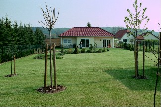 Der hintere Garten