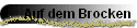 Auf dem Brocken