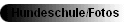 Hundeschule/Fotos