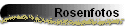 Rosenfotos