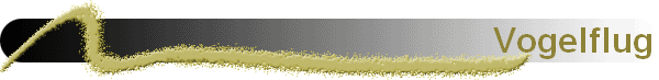 Vogelflug