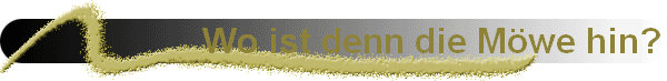 Wo ist denn die M�we hin?