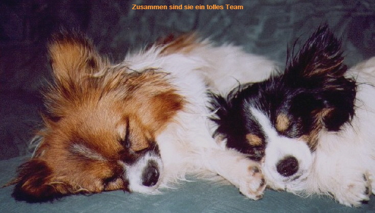 sch�n, wenn man nicht allein ist