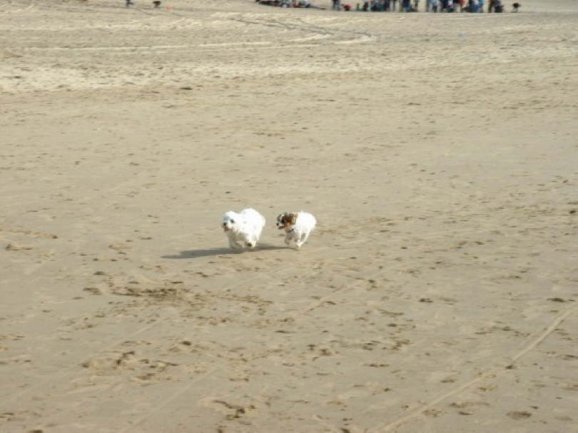 Wer ist schneller?