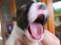 so m�de
