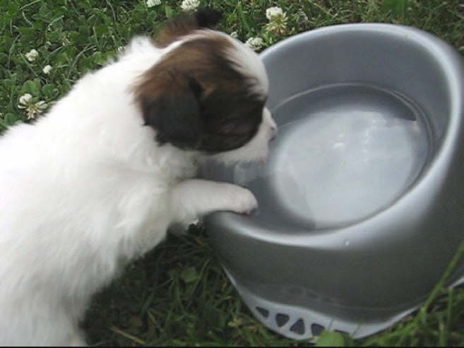 Was ist denn da drin?