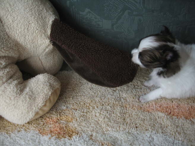 Ist der schwer!