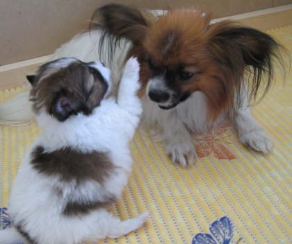 Mama und Adelina