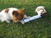 Mama spielt auch mit.