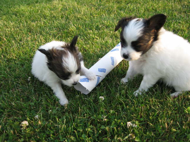 Alina und Alex