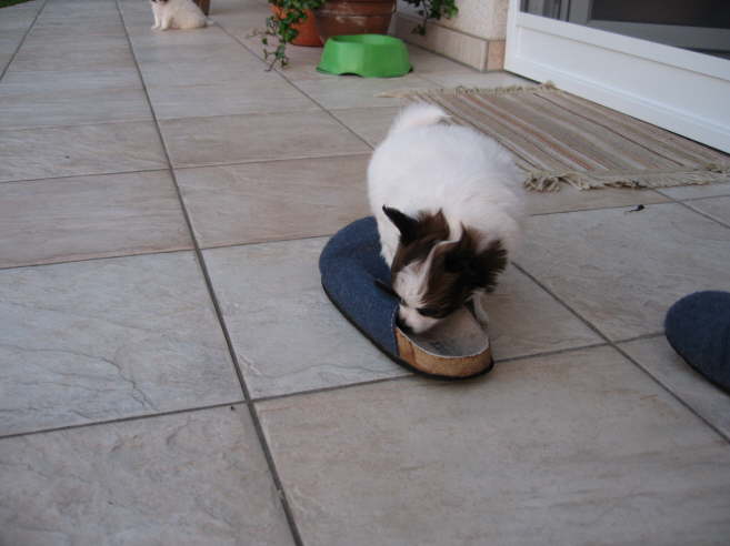 Ich brauche ja erst mal Schuhe.