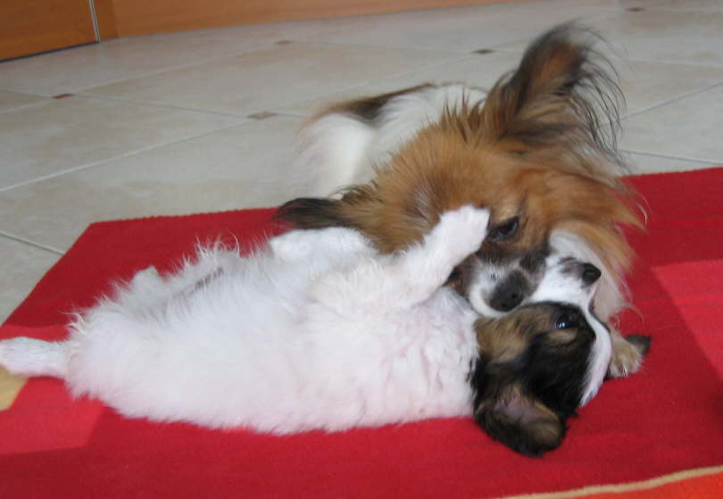 Mama hat mich zum Fressen gern.