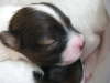 Adelina 9 Tage