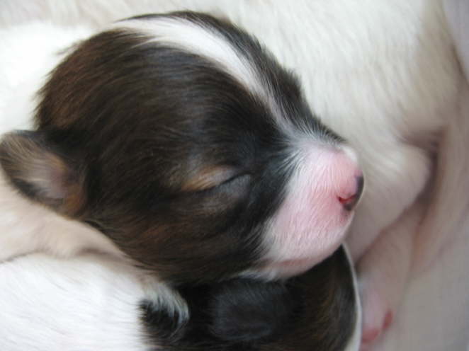 Adelina 9 Tage