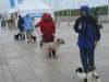 So ein Hunde-Wetter!