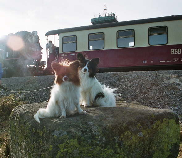 wir fahren mit der Bahn