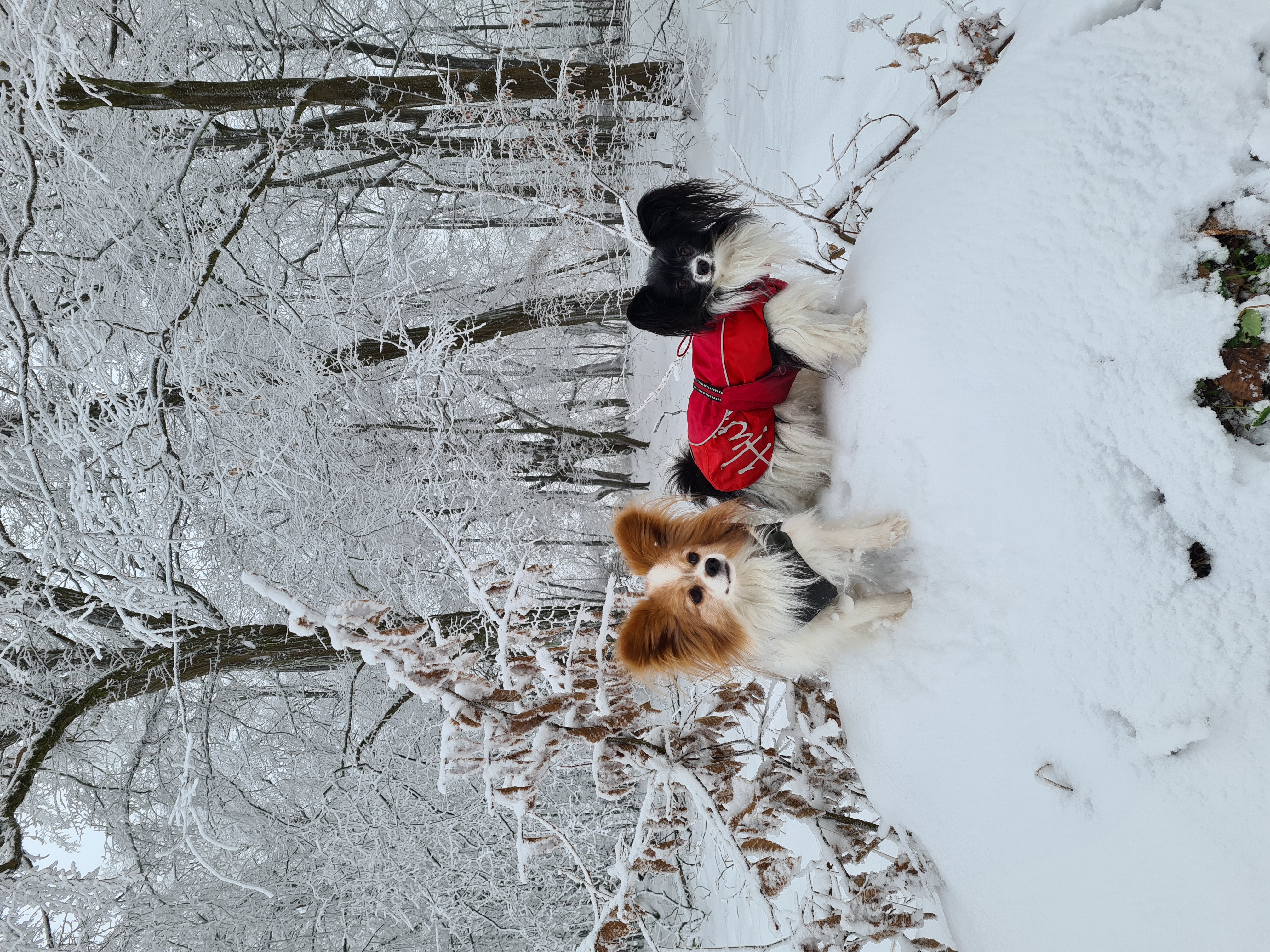 Dina und Bubi