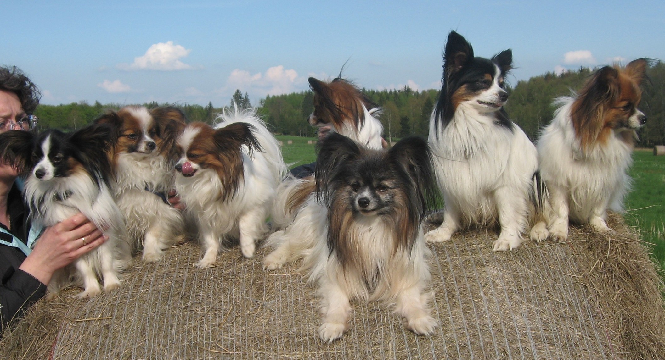 Gruppenfoto