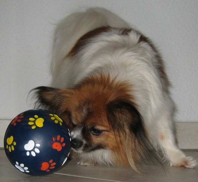Kugel