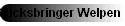Gl�cksbringer Welpen