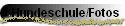 Hundeschule/Fotos