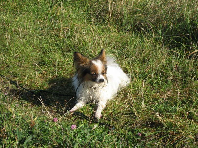 Ich mal mal ne Pause.