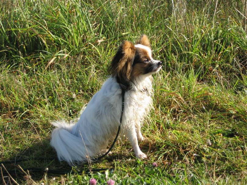 Ja, im Profil seh ich auch klasse aus.