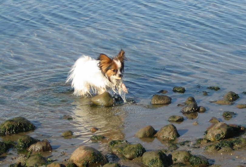 Natrlich war ich auch baden.