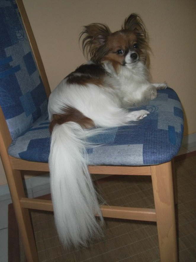 So ein hbsches Mdchen.