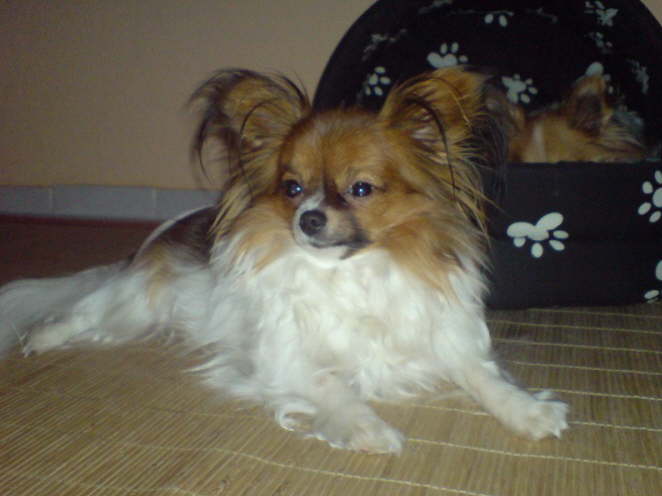 sch�nes Pl�tzchen