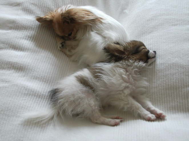 Im neuen Zuhause, mit neuer Freundin.