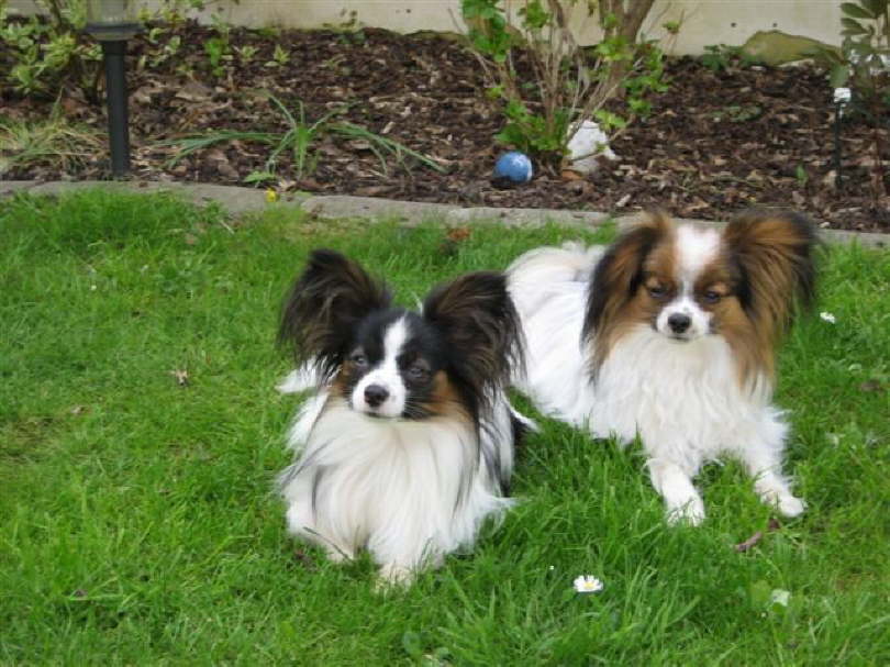 Mein neuer Kumpel Colin.