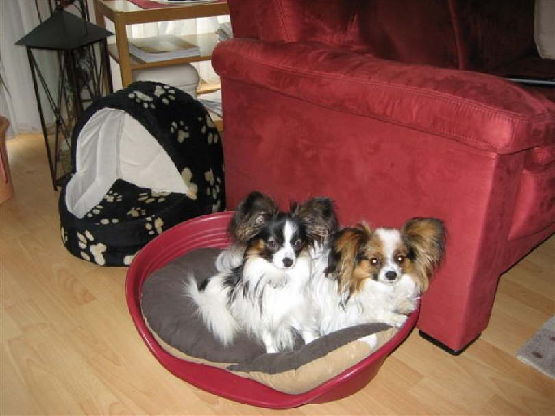 Wir k�nnen schon ganz toll kuscheln.