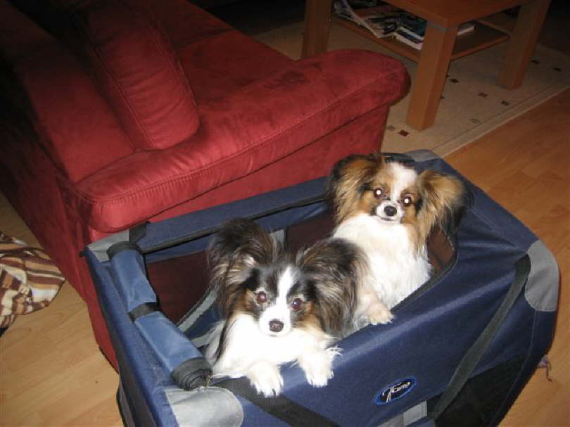 Wo geht denn die Reise hin?