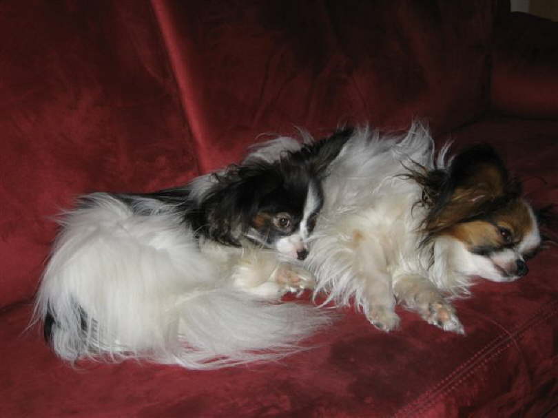 Mittagspause