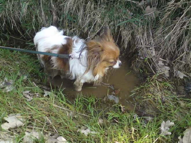 Ein Schlammbad soll gut fr die Haut sein