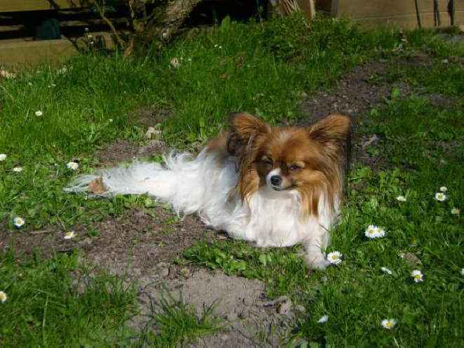 Warten auf den Maulwurf