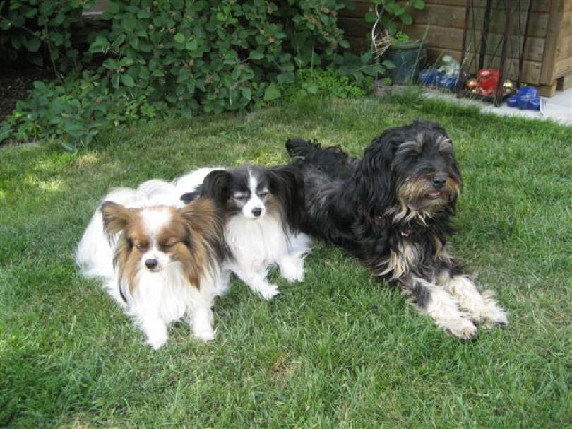 Alex, Colin und Nena