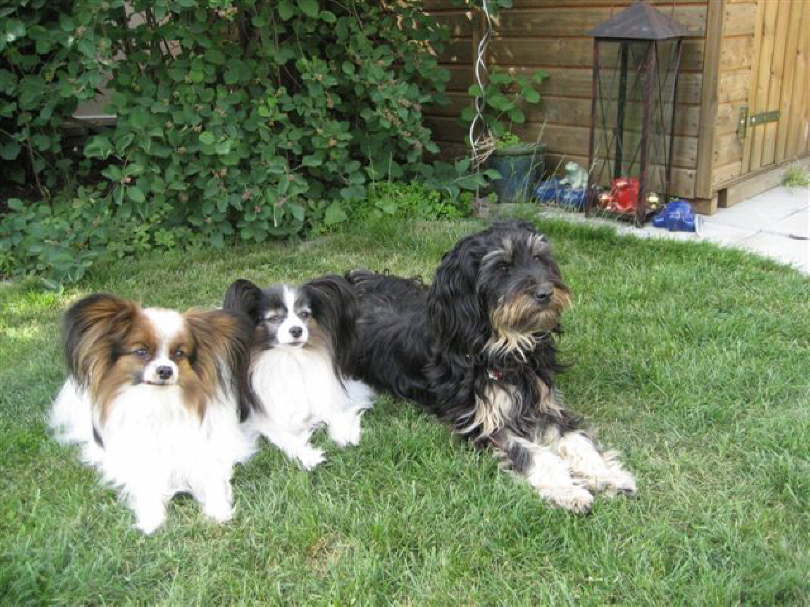 Alex, Colin und Nena