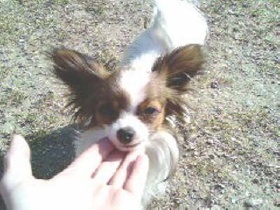 Zeig mal her, wie hbsch du bist.