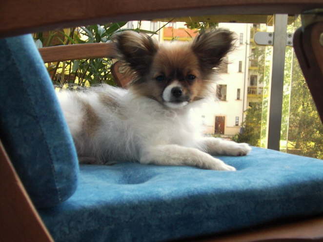 Da kann man alles beobachten.