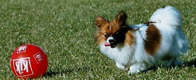 auf los geht�s los