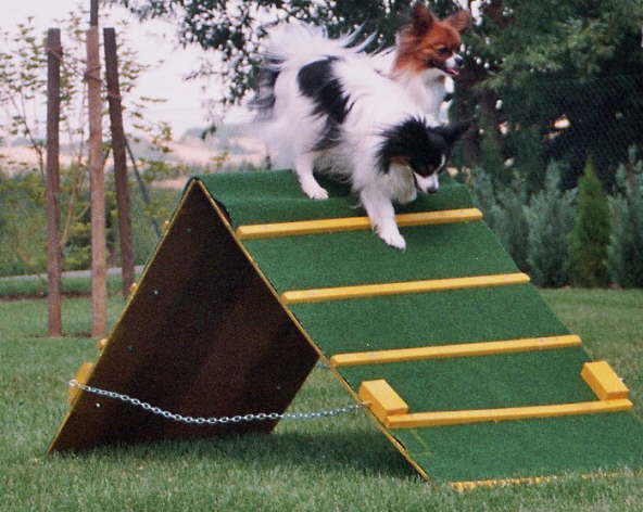 eine Hrde ist doch keine Hrde