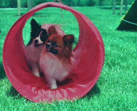 wo gehts denn hierlang