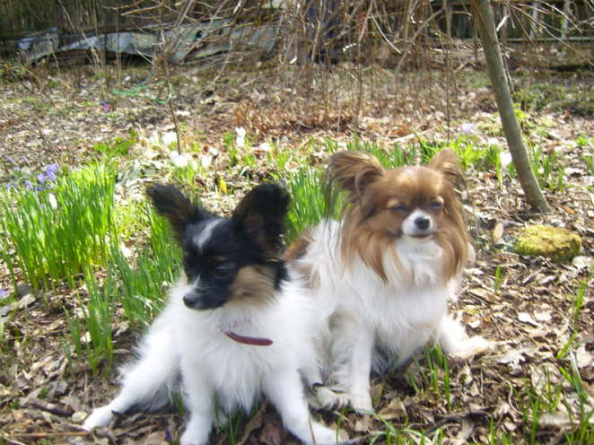 Donna Isabella und Adelina Avanti