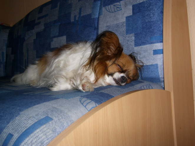 Babysitten ist ganz schn anstrengend