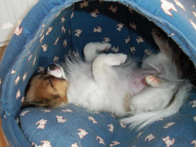 Ist das schn kuschelig.