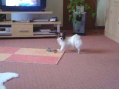 Viel Platz zum Spielen.