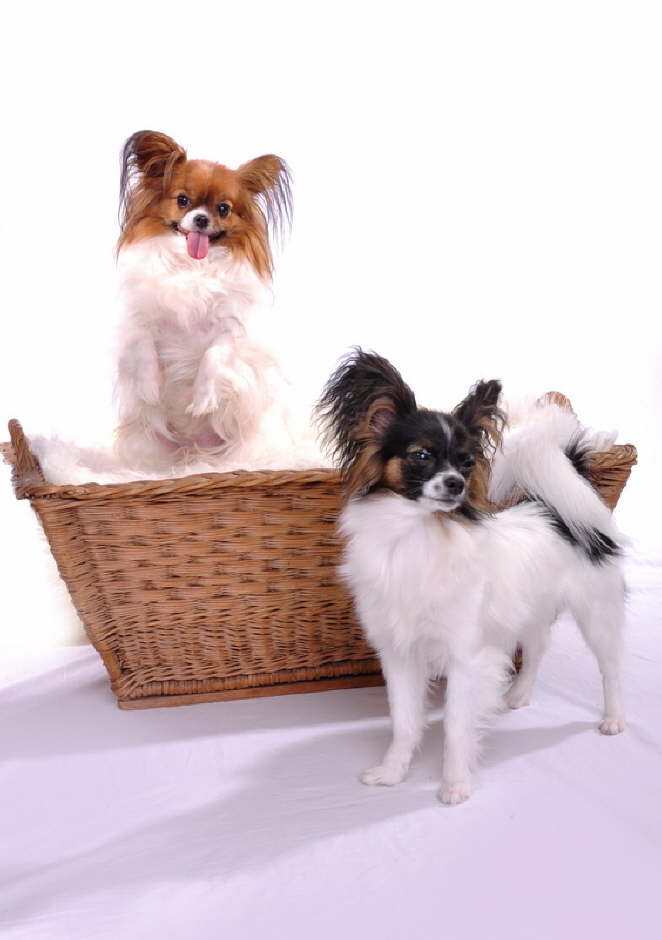 Adi und Bella
