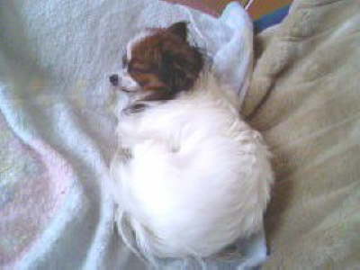 Ein kuscheliges Pltzchen.